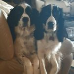 Marcoand Lori Streeter - @marcolorisreeter - Instagram