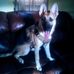 Lori Street - Facebook