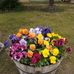 Lori Sturm - Facebook