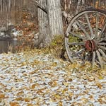 lori sturm - @mullerlisting1 - Instagram