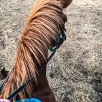 Lori Stutler - @lori_stutler - Instagram