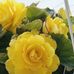 Lori Stutzman - Facebook