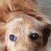 Lori Sumner - Facebook