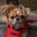 Laurie Swaney - Facebook