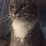 Lori Swaney - @lorijeanswan - Instagram