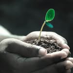 Lori Sweezey - @plantit_earth - Instagram