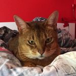 Loris Nappez - @loris_word - Instagram
