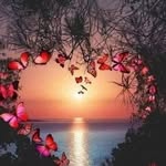Lori Talbert Keyes - @lorikeyes - Instagram