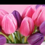 Lori Tanner - @lori.tanner.12 - Instagram