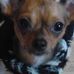 Lori Taube - Facebook