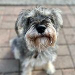 Lori Thaler - @lori.thaler - Instagram