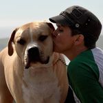 Lori Thaler - @lorithaler - Instagram