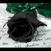 Loretta Thaxton - Facebook