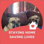 Lori Thayer - @lori.thayer.5 - Instagram