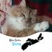 Lori Thibodeau - Facebook