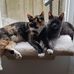 Lori Thibodeau Thiessen - Facebook