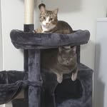 Lori Thibodeau Thiessen - @thiessenlori - Instagram