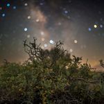 Lori Thomas - @lorithomasphotog - Instagram