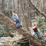 Lori Lynn Tierney - @countryprincess35 - Instagram