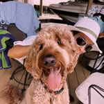 Lori Tilton - @lil.tilt - Instagram