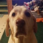 Lori Tilton - @tilton926 - Instagram