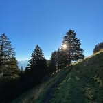Lori Tolar - @lori.tolar - Instagram