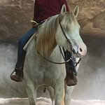 Lori Tolar - @loritolar - Instagram