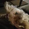 torrezlori07 - @torrezlori07 - TikTok