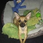 Lori Trent - @lori.trent.549 - Instagram