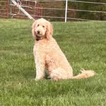 Lori Trent - @lorit_mtn_momma - Instagram