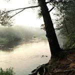 @loritrout.lt - Instagram