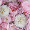💐 - @lorie.trudeau - TikTok