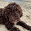 Lorie Tull - @lorie._.tull - TikTok
