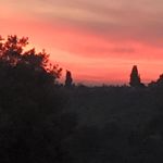 Lori Vaccaro Forte - @lorif511 - Instagram