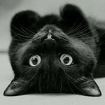 Loriann Smith - @lorivandiver42yahoocomlorivand - Instagram