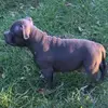 Lori Ondrey Varner - @2155627275 - TikTok
