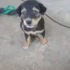Lorie Pujeda Velasco - @lorie.pujeda.vela - TikTok