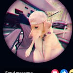 Lori Vitello - @lvitello128 - Instagram