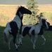 Lori VonWald - Facebook