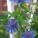 Lori Waite - Facebook