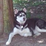 Lori Walden - @loriwalden_lw123 - Instagram