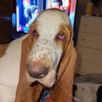 Lori Walden - @lori_a_walden - Instagram