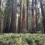 Lori Walden Babin - @waldenlori - Instagram