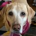 Laura Waldon - Facebook