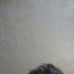 Lori Waldon - Facebook
