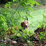 Lori Wales Parker - @walesparker - Instagram