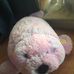 Larri Walrus - Facebook