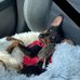 Lori Walls - Facebook