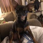 Lori Walls - @loriwalls61 - Instagram