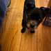 Lori Warden - Facebook